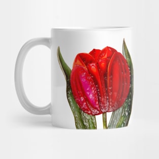 Red Tulip Viscountess Mug